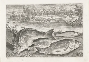 Drei Karpfen am Ufer