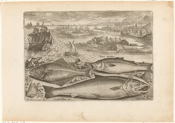 Drei Fische am Strand