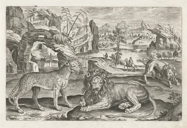 Löwen und Leopard (Serie: Vierpotige dieren, Animalivm Qvaddrvpedvm)