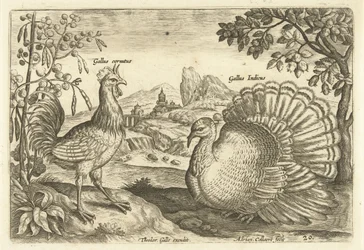 Zwei Hühner in einer Landschaft
