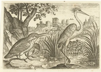 Zwei Vögel in einer Landschaft