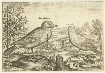 Zwei Vögel in einer Landschaft