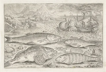 Vier vissen auf dem Strand