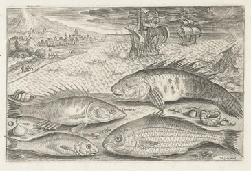 Vier Fische am Strand (Serie: Vissen, Piscivm vivae icones)