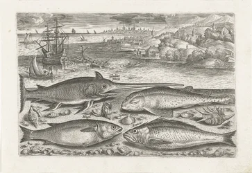 Vier Fische am Strand