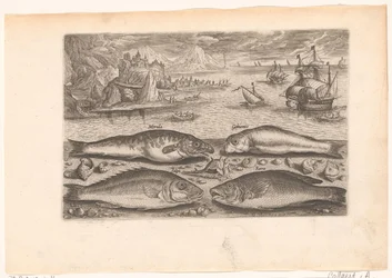 Vier Fische am Strand (Serie: Piscivm vivae icones)