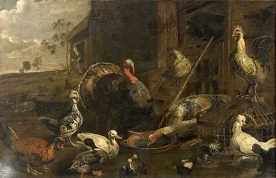 Hennen, Enten und ein Truthahn