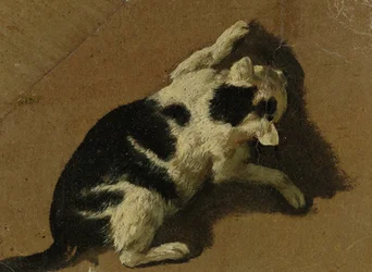 Spielende Katze