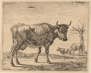 Drei Kühe