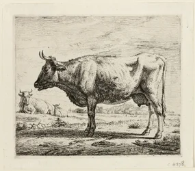Zwei Kühe und ein Schaf
