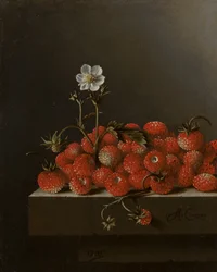 Stillleben mit Walderdbeeren, 1705