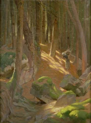 Dämmerung in einem Wald