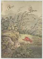 Wasserstück mit Krabbe, Schmetterlingen, Libellen und Sanddorn