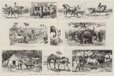 Der große Elefanten- und Pferdemarkt in Sonepur, Bengalen