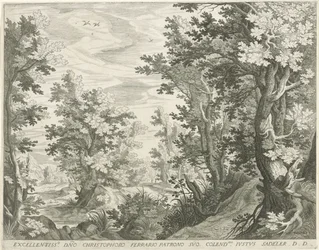 Waldlandschaft