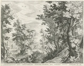 Waldlandschaft