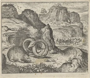 Fabel vom Igel und der Schlange