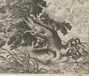 Fabel von der Esche und dem Schilfrohr