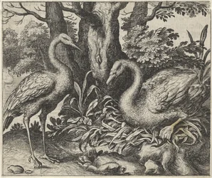 Fabel vom Schwan und dem Storch