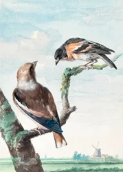 Zwei Vögel: Kernbeißer