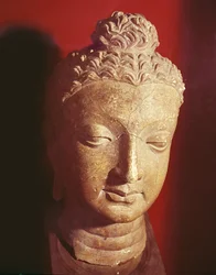 Kopf von Buddha, griechisch-buddhistischer Stil, aus Hadda