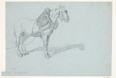 Ein Pferd