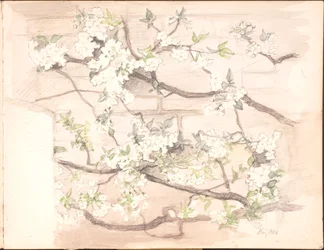 Skizzenbuch. Juli 1899 - Juni 1901