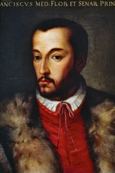 Porträt von Francesco I. de Medici (Florenz)