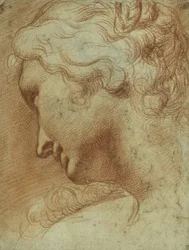 Kopf einer jungen Frau, die über ihre rechte Schulter nach unten schaut