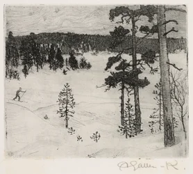 Der dunkle Schleier des Winters