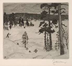 Der dunkle Schleier des Winters