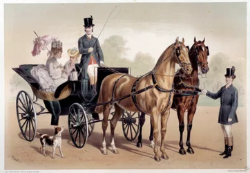 Eine Pferdekutsche mit anglo-normannischen Pferden. Druck von Albert Adam (1833-?) 19. Jahrhundert Paris, Musée Carnavalet