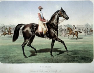 Rennen: Suzerain, Gewinner des Chantilly-Derbys 1868. Lithographie von Albert Adam (1833-?) Private Sammlung