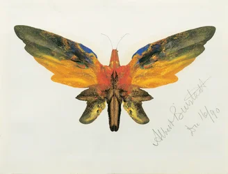 Schmetterling, 1890