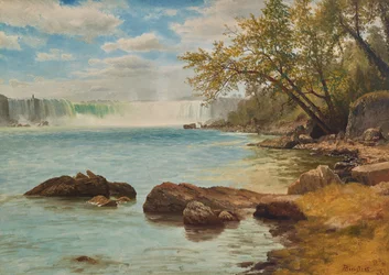 Niagarafälle mit Terrapin Tower, ca. 1869