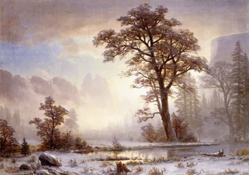 Tal des Yosemite - Schneefall