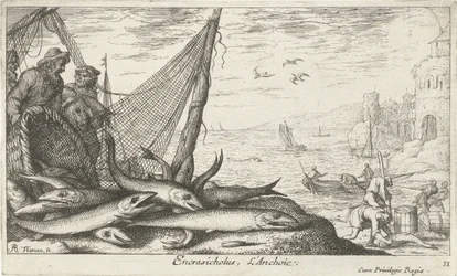 Sardellen bei einem Korb und Fischernetz (Vissen en andere zeedieren - zoutwater derde reeks, Poissons de mer)