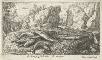 Gründlinge am Flussufer