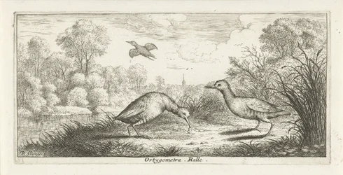 Landschaft mit zwei Rallen am Ufer