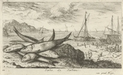 Sardinen am Strand
