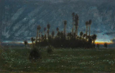 Glühwürmchen, Jamaika