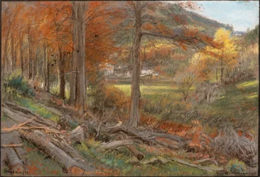 Schotten, Ilfracombe