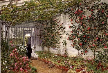 Das Gewächshaus aus 