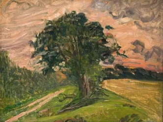Abendlandschaft. Tisvilde