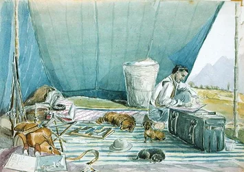 Mein Zelt in den Hügeln