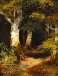 Waldweg
