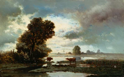 Weideland am Fluss
