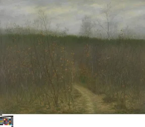 Wäldchen in Sint-Martens-Latem