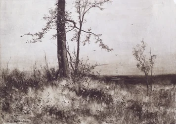 Landschaft