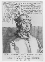 Kardinal Albrecht von Brandenburg